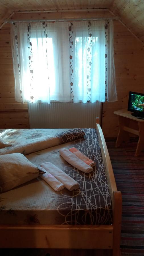 Отель Casa Andreea-Maria Выртоп Экстерьер фото